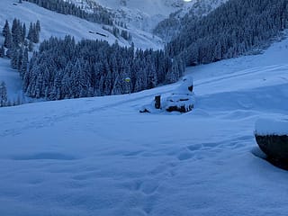 Alpbach