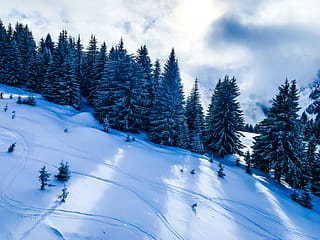 Rock The Pistes, Portes du Soleil