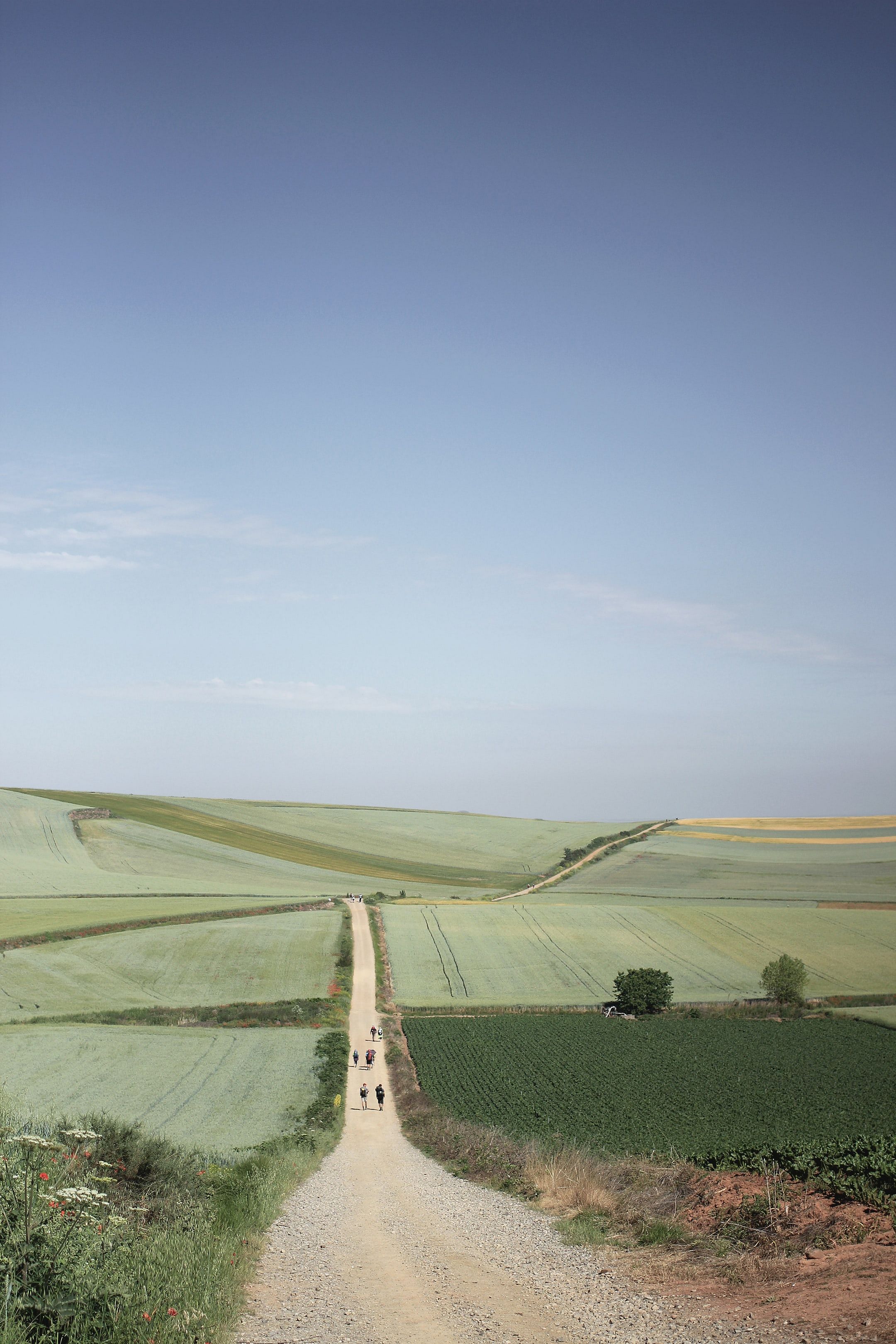 De Camino De Santiago lopen: De ultieme gids | Ridestore Magazine