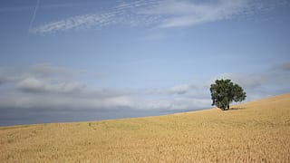 camino de santiago - history