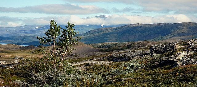 padjelanta-wikicommons