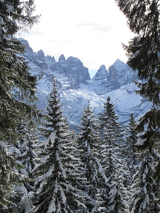 Madonna DI Campiglio