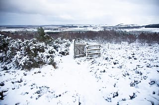 skiing in scotland