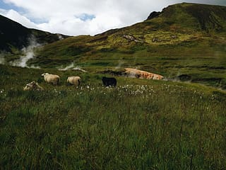 Reykjadalur Pad - Hveragerdi