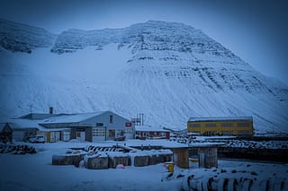 De Hornstrandir tocht