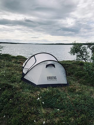 wildkamperen in Zweden