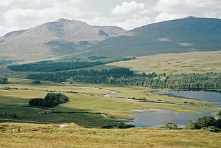 15. Rothiemurchus Forest