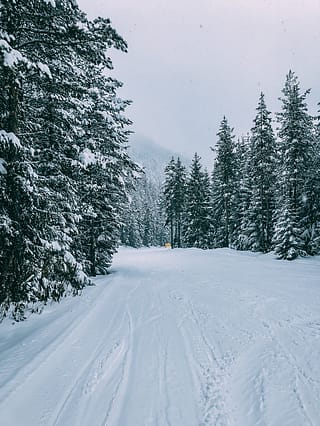 are bulgarian ski holidays as cheap as they say