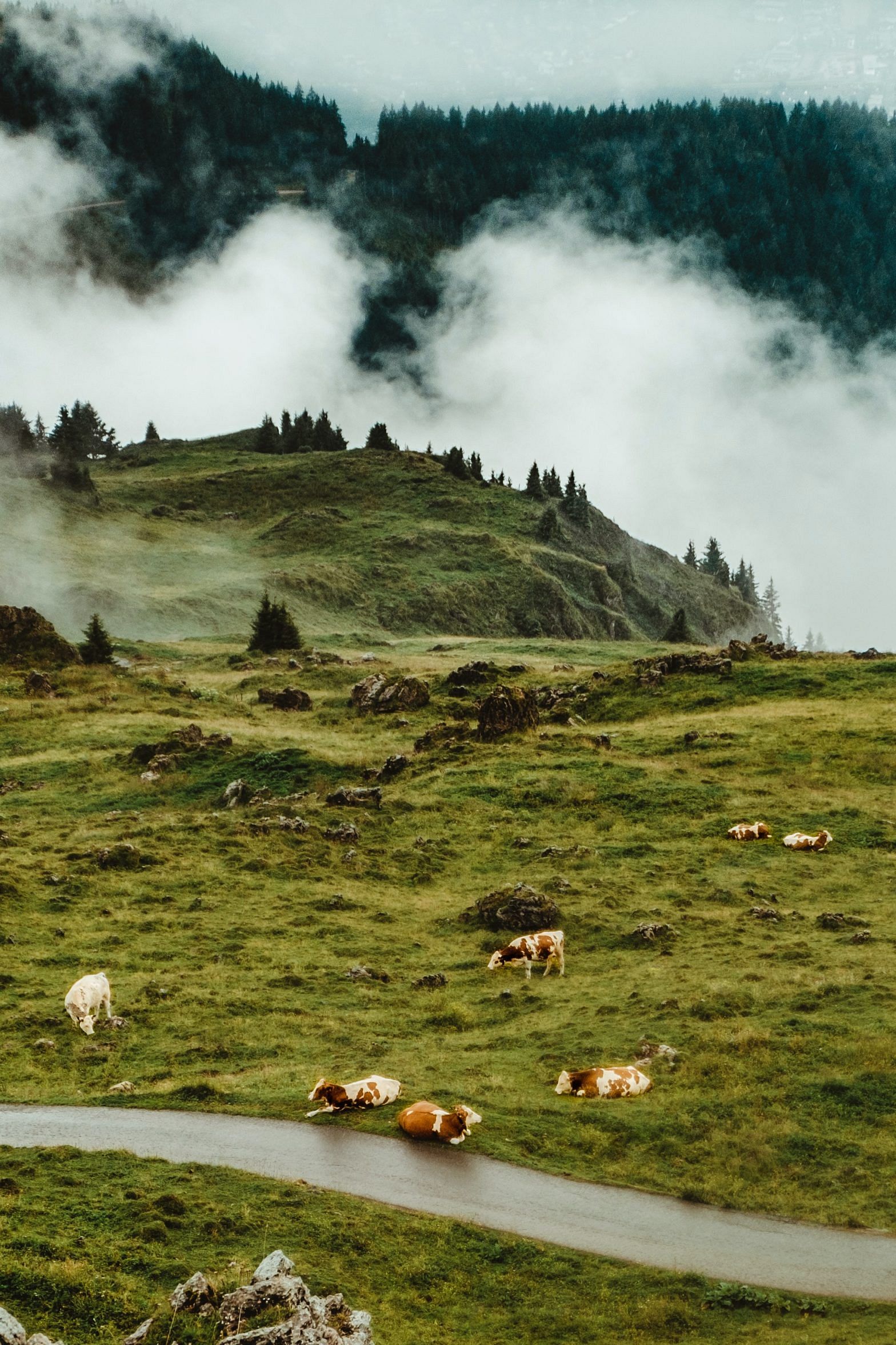 trekking austria