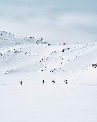 Splitboarding poles