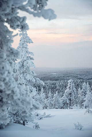 Lapplands Skigebiete & wie man sich fortbewegt