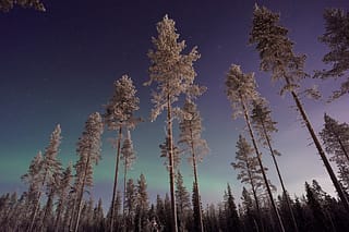 Aktivitäten in Lappland