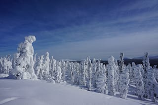 Ylläs