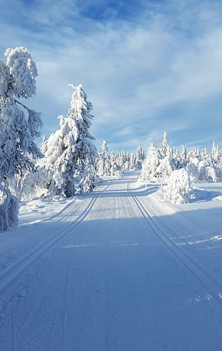 vinter i lappland-unsplash