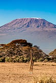 how-to-hike-kilimanjaro-guide-ridestore-magazine