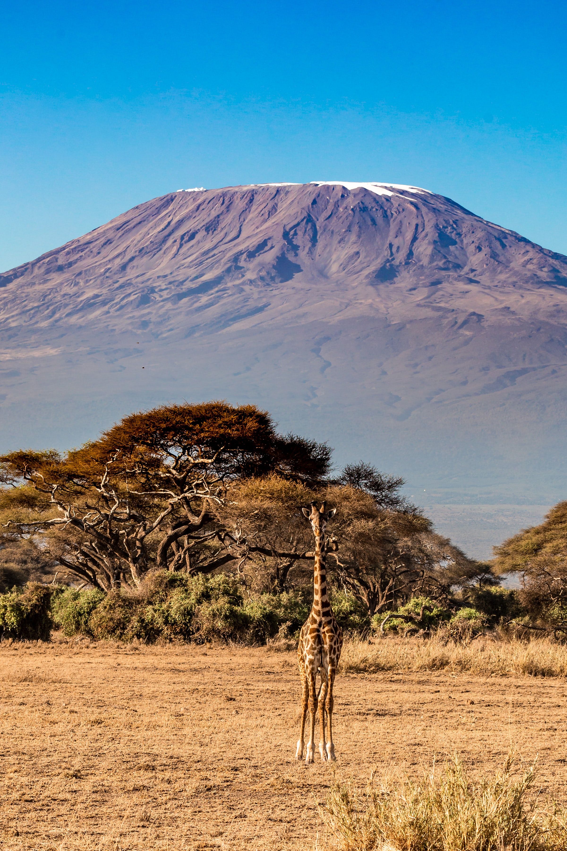 How to hike Kilimanjaro | Guide | Ridestore Magazine