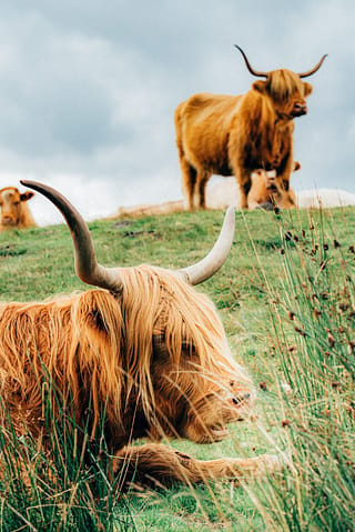 Loch Lomond and The Trossachs National Park, Scotland