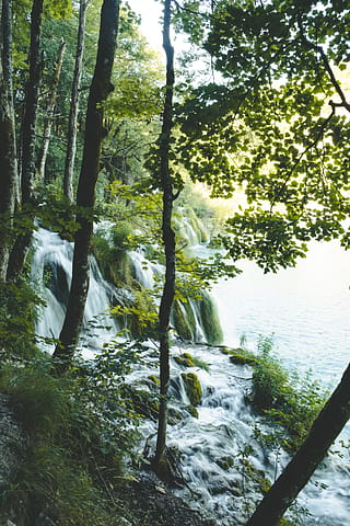 Plitvice Lakes, Croatia