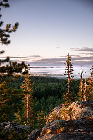 Wild Taiga, Finland