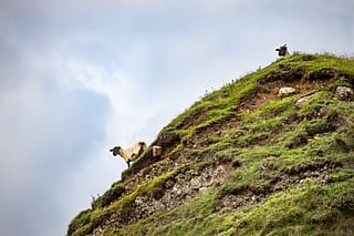 Slieve Gullion, County Armagh