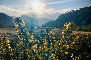 The Wicklow Way, County Wicklow