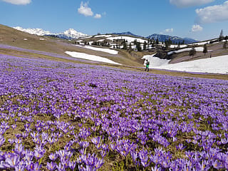 Velika Planina 