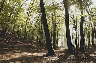 Medvednica Nature Park, Zagreb