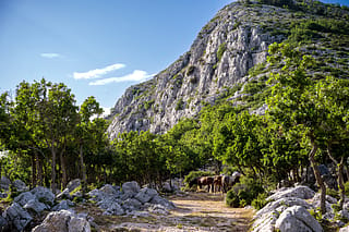 Vošac Peak