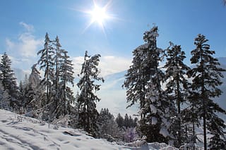 Alpbach