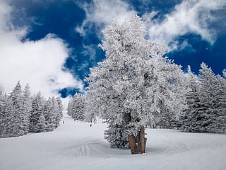 Arizona Snowbowl Ski Resort, Arizona