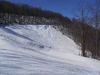 BLUE KNOB-STEMBOGAN BOWL