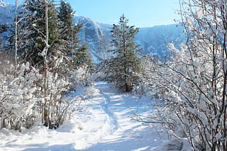 Apex Mountain, British Columbia