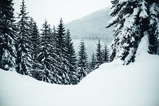 Hudson Bay Mountain Ski Resort, British Columbia