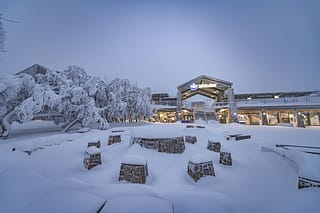 mt-buller-mtbullercomaus