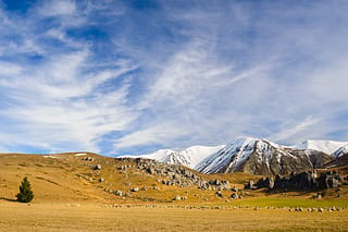 Craigieburn Valley Ski Area