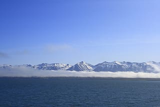 Dalvik