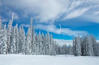 Wild Blue Gondola, Steamboat Ski Resort, US