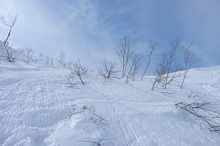 Niseko Annupuri International Ski Area