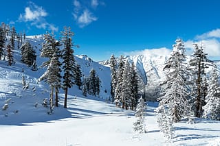 Mammoth Mountain, California