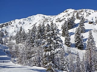 Powder Mountain