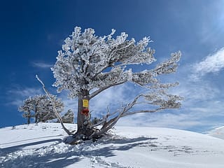 Snowbasin Resort