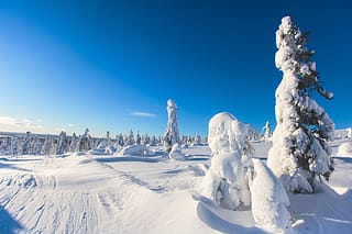 Tänndalen